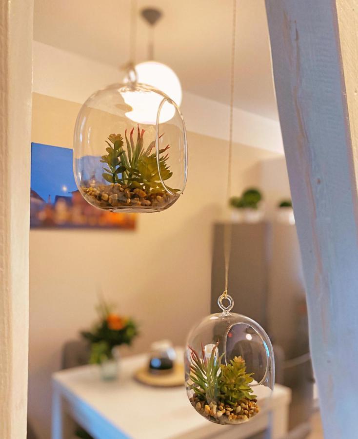 Ferienapartment Harzzeit *